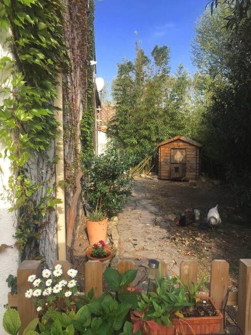 La Campagne Dans La Ville Narbonne Extérieur photo