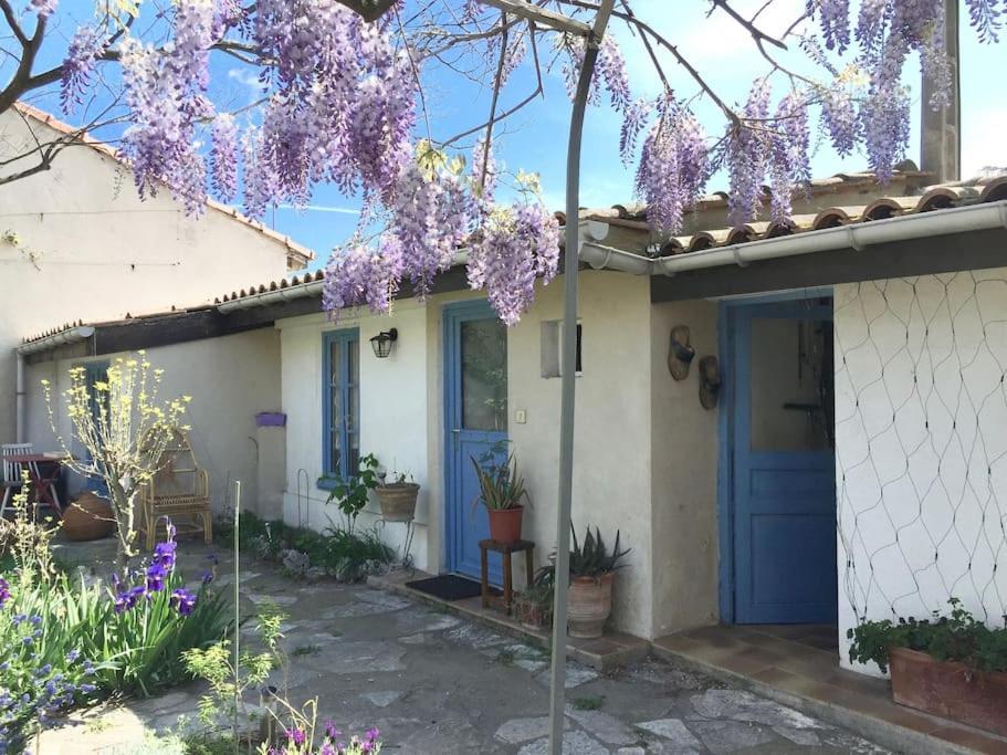La Campagne Dans La Ville Narbonne Extérieur photo