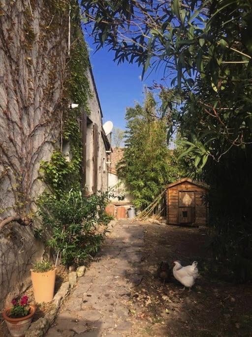 La Campagne Dans La Ville Narbonne Extérieur photo